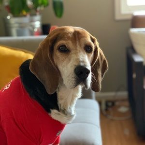 Meet your Posher, Jeffrey